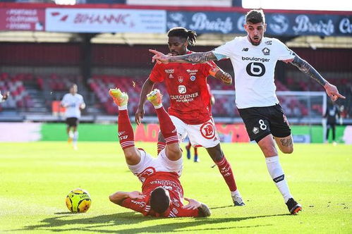 雷斯特ii(法甲里尔VS布雷斯特),第1张 雷斯特ii(法甲里尔VS布雷斯特),雷斯特ii(法甲里尔VS布雷斯特),第1张