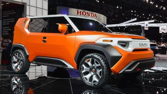 生姜的功效(生姜的功效作用与主治),第3张 生姜的功效(生姜的功效作用与主治),生姜的功效(生姜的功效作用与主治),第3张