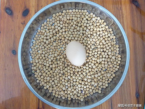 做豆腐脑的教程视频（豆腐脑的做法视频教程）,做豆腐脑的教程视频（豆腐脑的做法视频教程）,第1张