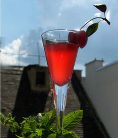 自制樱桃酒的危害(自制樱桃酒的危害有哪些呢图片),第1张 自制樱桃酒的危害(自制樱桃酒的危害有哪些呢图片),自制樱桃酒的危害(自制樱桃酒的危害有哪些呢图片),第1张