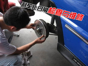 四季豆的做法步骤(四季豆的做法步骤视频),第1张 四季豆的做法步骤(四季豆的做法步骤视频),四季豆的做法步骤(四季豆的做法步骤视频),第1张