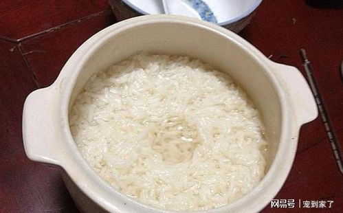 家庭自制醪糟的做法窍门（家庭自制醪糟的做法窍门是什么）,家庭自制醪糟的做法窍门（家庭自制醪糟的做法窍门是什么）,第2张