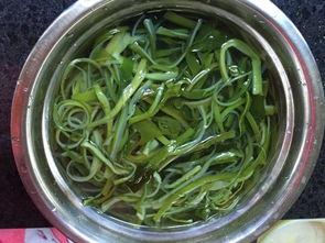 凉拌海带丝的做法过程（凉拌海带丝的做法过程作文）,凉拌海带丝的做法过程（凉拌海带丝的做法过程作文）,第1张