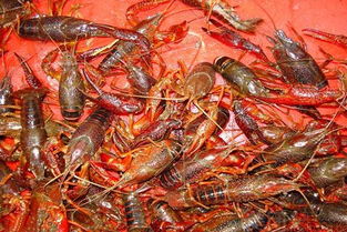 佛山装修报价（佛山装修报价明细齐家）,佛山装修报价（佛山装修报价明细齐家）,第2张