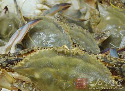 毛蟹炒年糕(毛蟹炒年糕的家常做法视频),第2张 毛蟹炒年糕(毛蟹炒年糕的家常做法视频),毛蟹炒年糕(毛蟹炒年糕的家常做法视频),第2张