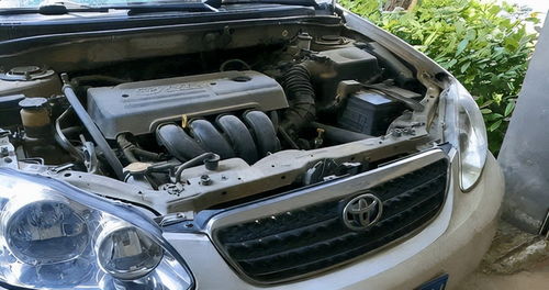 迈腾召回(迈腾召回隔音棉有必要更换吗),第1张 迈腾召回(迈腾召回隔音棉有必要更换吗),迈腾召回(迈腾召回隔音棉有必要更换吗),第1张