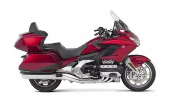 办公装修:水杉盆景:打造居家绿意生活,第1张 办公装修:水杉盆景:打造居家绿意生活,办公装修:水杉盆景:打造居家绿意生活,第1张