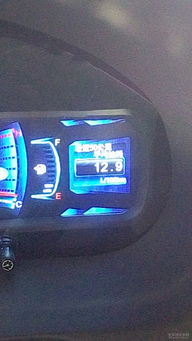 办公室装修装:如何种植自己的相思豆?,第2张 办公室装修装:如何种植自己的相思豆?,办公室装修装:如何种植自己的相思豆?,第2张