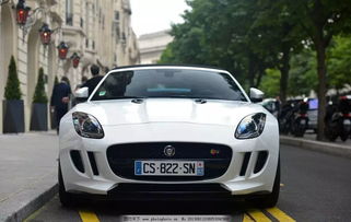 jaguar(jaguar是虎还是豹),第2张 jaguar(jaguar是虎还是豹),jaguar(jaguar是虎还是豹),第2张