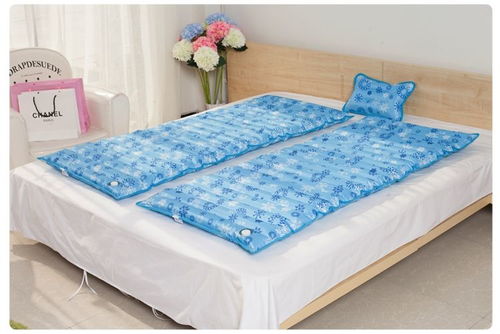 水床垫价格(水床垫价格表),第1张 水床垫价格(水床垫价格表),水床垫价格(水床垫价格表),第1张