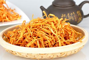 虫草花的功效与作用吃法大全(虫草花的功效与作用吃法大全干白勺功交反白),第3张 虫草花的功效与作用吃法大全(虫草花的功效与作用吃法大全干白勺功交反白),虫草花的功效与作用吃法大全(虫草花的功效与作用吃法大全干白勺功交反白),第3张