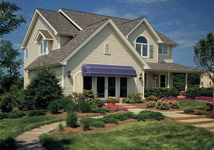 办公室装潢:小叶樟的功效及使用方法,第1张 办公室装潢:小叶樟的功效及使用方法,办公室装潢:小叶樟的功效及使用方法,第1张