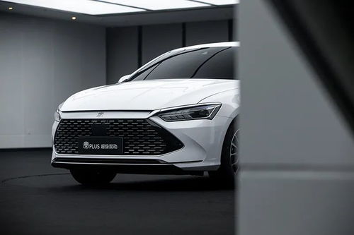 金玫瑰(金玫瑰酒店),第1张 金玫瑰(金玫瑰酒店),金玫瑰(金玫瑰酒店),第1张