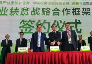 fit飞度（fit飞度的价格）,fit飞度（fit飞度的价格）,第1张