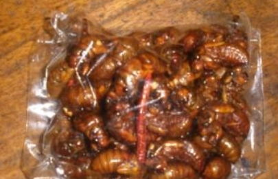 脑花(脑花的营养价值和危害),第3张 脑花(脑花的营养价值和危害),脑花(脑花的营养价值和危害),第3张