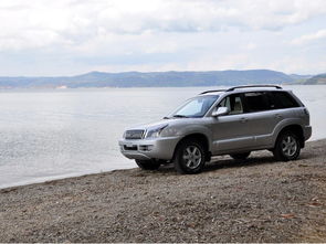 瑞鹰汽车(瑞鹰汽车多少钱),第1张 瑞鹰汽车(瑞鹰汽车多少钱),瑞鹰汽车(瑞鹰汽车多少钱),第1张