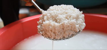 醪糟怎么吃(醪糟怎么吃好吃又简单),第2张 醪糟怎么吃(醪糟怎么吃好吃又简单),醪糟怎么吃(醪糟怎么吃好吃又简单),第2张