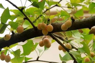 申鹭达浴室柜(申鹭达浴室柜图片价格),第2张 申鹭达浴室柜(申鹭达浴室柜图片价格),申鹭达浴室柜(申鹭达浴室柜图片价格),第2张