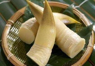 春笋和冬笋的区别(春笋和冬笋的区别在哪里中医),第3张 春笋和冬笋的区别(春笋和冬笋的区别在哪里中医),春笋和冬笋的区别(春笋和冬笋的区别在哪里中医),第3张