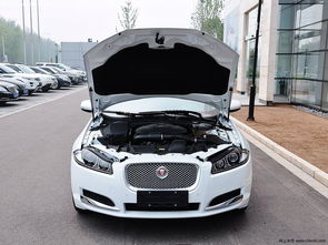 捷豹标志(捷豹标志立体豹子多少钱),第3张 捷豹标志(捷豹标志立体豹子多少钱),捷豹标志(捷豹标志立体豹子多少钱),第3张