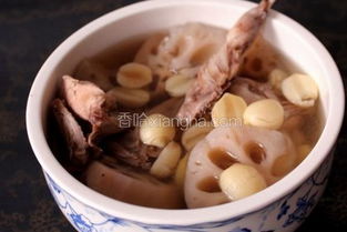 莲藕排骨汤的做法(莲藕汤的做法),第1张 莲藕排骨汤的做法(莲藕汤的做法),莲藕排骨汤的做法(莲藕汤的做法),第1张