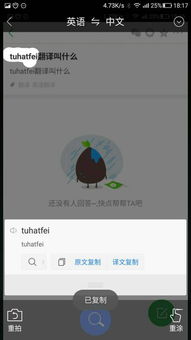 bowler(bowler hat翻译),第1张 bowler(bowler hat翻译),bowler(bowler hat翻译),第1张