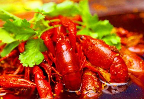 小龙虾在家怎么做好吃(小龙虾怎么做才最好吃),第3张 小龙虾在家怎么做好吃(小龙虾怎么做才最好吃),小龙虾在家怎么做好吃(小龙虾怎么做才最好吃),第3张