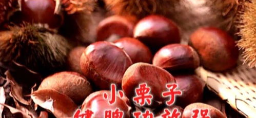 上海工厂装修:如何选择靠谱的深圳搬家公司?,第3张 上海工厂装修:如何选择靠谱的深圳搬家公司?,上海工厂装修:如何选择靠谱的深圳搬家公司?,第3张