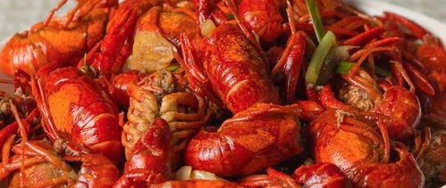 龙虾做法视频（龙虾做法视频 十三香）,龙虾做法视频（龙虾做法视频 十三香）,第2张