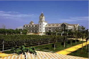 帝王蟹价格(鲜活帝王蟹价格),第1张 帝王蟹价格(鲜活帝王蟹价格),帝王蟹价格(鲜活帝王蟹价格),第1张