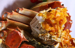 河蟹做法视频(螃蟹的做法视频教程),第2张 河蟹做法视频(螃蟹的做法视频教程),河蟹做法视频(螃蟹的做法视频教程),第2张