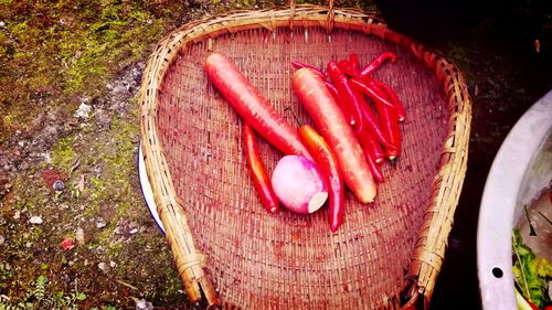 四川泡菜的做法步骤图(四川泡菜制作方法步骤图窍门),第3张 四川泡菜的做法步骤图(四川泡菜制作方法步骤图窍门),四川泡菜的做法步骤图(四川泡菜制作方法步骤图窍门),第3张