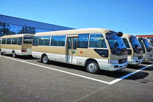 丰田中巴车(丰田中巴车考斯特尺寸),第2张 丰田中巴车(丰田中巴车考斯特尺寸),丰田中巴车(丰田中巴车考斯特尺寸),第2张