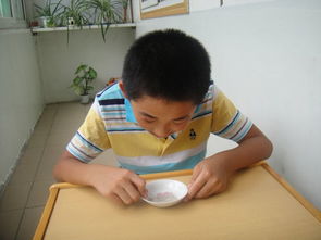 胡椒与盐(胡椒与盐的实验),第2张 胡椒与盐(胡椒与盐的实验),胡椒与盐(胡椒与盐的实验),第2张