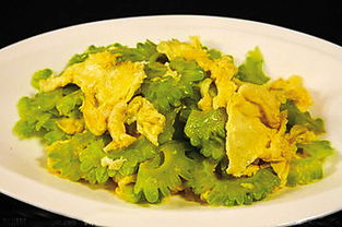 苦瓜炒蛋致癌(苦瓜炒蛋致癌是真的吗),第3张 苦瓜炒蛋致癌(苦瓜炒蛋致癌是真的吗),苦瓜炒蛋致癌(苦瓜炒蛋致癌是真的吗),第3张