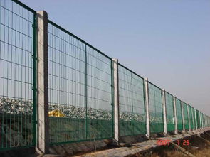 罗勒叶的功效与作用（罗勒叶的功效与作用 肝胆湿热）,罗勒叶的功效与作用（罗勒叶的功效与作用 肝胆湿热）,第1张