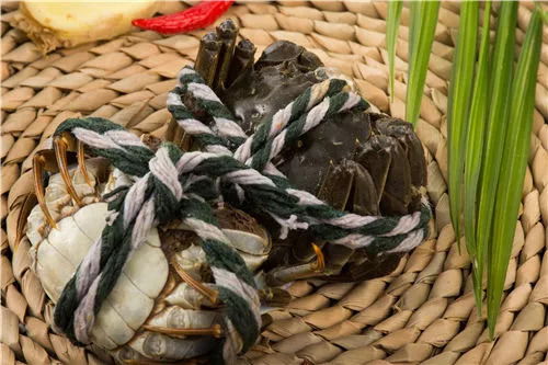 大闸蟹什么时候上市(六月黄大闸蟹什么时候上市),第2张 大闸蟹什么时候上市(六月黄大闸蟹什么时候上市),大闸蟹什么时候上市(六月黄大闸蟹什么时候上市),第2张