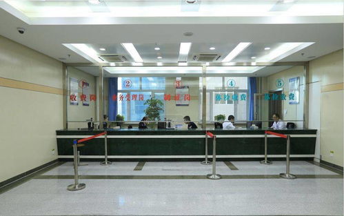 赤峰市车管所网站(赤峰市车管所网站官网),第3张 赤峰市车管所网站(赤峰市车管所网站官网),赤峰市车管所网站(赤峰市车管所网站官网),第3张