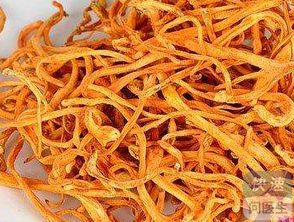 虫草花的功效(虫草花的功效与吃法),第1张 虫草花的功效(虫草花的功效与吃法),虫草花的功效(虫草花的功效与吃法),第1张