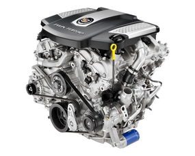 上海办公室装潢:探秘小叶黄杨的种植和养护技巧,第1张 上海办公室装潢:探秘小叶黄杨的种植和养护技巧,上海办公室装潢:探秘小叶黄杨的种植和养护技巧,第1张