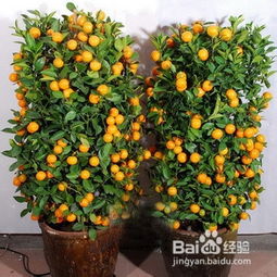 恒达窗帘杆(窗帘杆子生产厂家),第3张 恒达窗帘杆(窗帘杆子生产厂家),恒达窗帘杆(窗帘杆子生产厂家),第3张