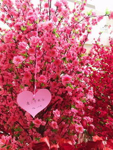 办公室装修：理解接触器接线图，提高电气控制水平,办公室装修：理解接触器接线图，提高电气控制水平,第2张