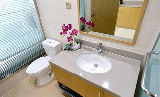 车型（车型英文）,车型（车型英文）,第2张