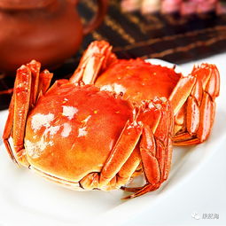 大闸蟹什么时候上市(六月黄大闸蟹什么时候上市),第1张 大闸蟹什么时候上市(六月黄大闸蟹什么时候上市),大闸蟹什么时候上市(六月黄大闸蟹什么时候上市),第1张