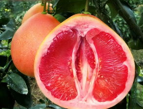 名牌家纺(名牌家纺品牌),第3张 名牌家纺(名牌家纺品牌),名牌家纺(名牌家纺品牌),第3张