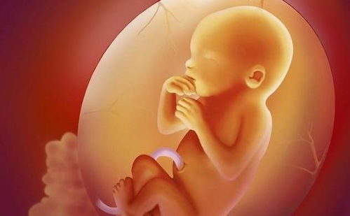 孕妇一吃就流产的食物（怀孕一吃就流产的东西）,孕妇一吃就流产的食物（怀孕一吃就流产的东西）,第2张