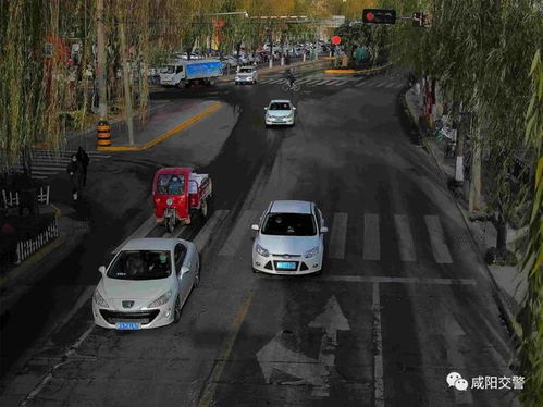 咸阳市交通违章查询（咸阳交警违章查询系统）,咸阳市交通违章查询（咸阳交警违章查询系统）,第3张