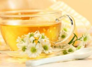 喝什么茶可以减肥减脂肪(喝什么茶可以减肥减脂肪提神最好),第1张 喝什么茶可以减肥减脂肪(喝什么茶可以减肥减脂肪提神最好),喝什么茶可以减肥减脂肪(喝什么茶可以减肥减脂肪提神最好),第1张