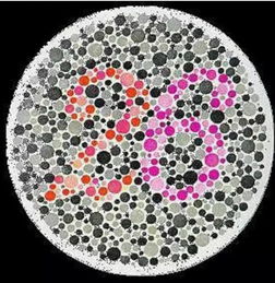 绿色地板(绿色底板图片),第2张 绿色地板(绿色底板图片),绿色地板(绿色底板图片),第2张