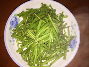 藜蒿(藜蒿的做法大全家常),第1张 藜蒿(藜蒿的做法大全家常),藜蒿(藜蒿的做法大全家常),第1张